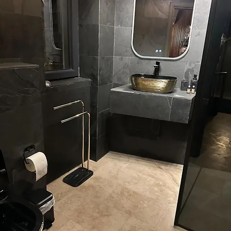Mansini Luxury Victoriei 别墅 布加勒斯特